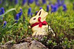 Happy Easter Chocolate Bunny